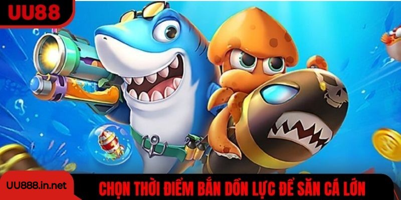 Chọn thời điểm bắn dồn lực để săn cá lớn, tối đa hóa phần thưởng