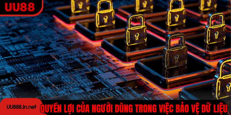 Các quyền lợi của người dùng trong việc bảo vệ dữ liệu