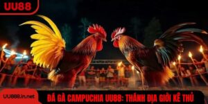 Đá Gà Campuchia UU88