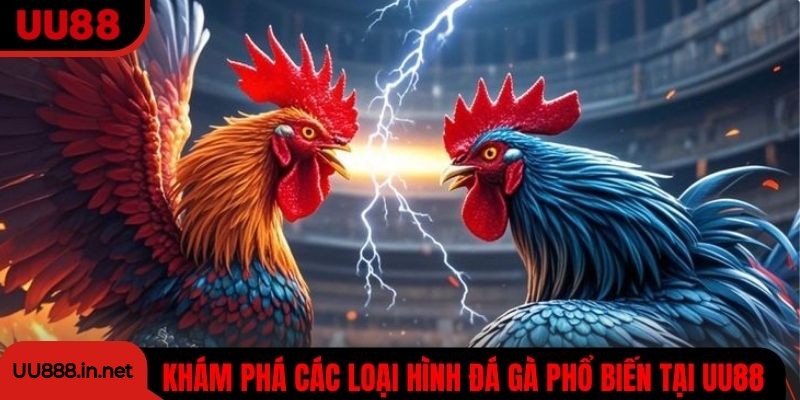 Khám phá các loại hình đá gà phổ biến tại UU88 và cách tham gia