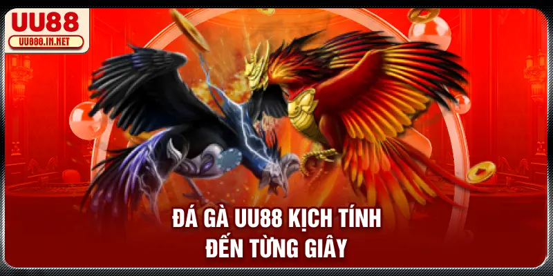 Đá gà UU88 kịch tính đến từng giây