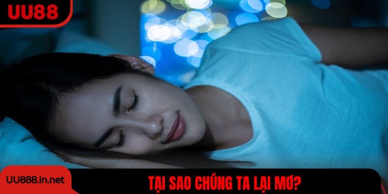Tại sao chúng ta lại mơ?