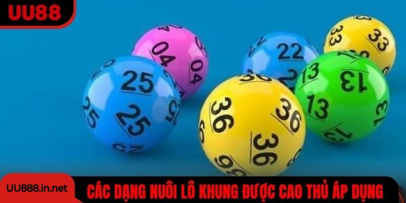 Các dạng nuôi lô khung được cao thủ áp dụng hiện nay