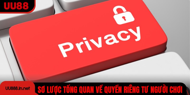 Sơ lược tổng quan về quyền riêng tư người chơi