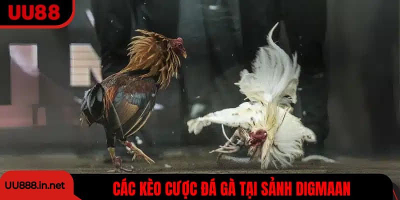 Cược cửa Wala có tỷ lệ thưởng vô cùng hấp dẫn