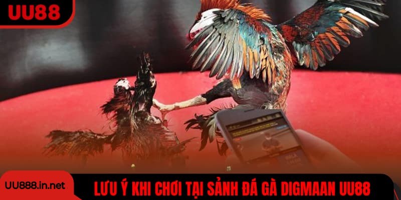 Lưu ý khi chơi đá gà tại sảnh Digmaan UU88