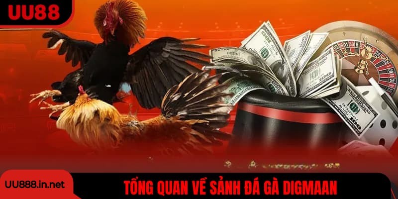 Tổng quan về sảnh đá gà Digmaan