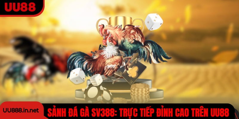 Sảnh Đá Gà SV388 Tại UU88