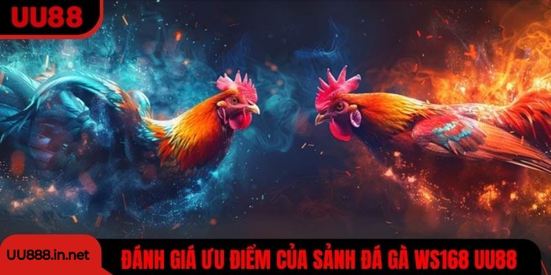 Đánh giá ưu điểm hút khách của sảnh đá gà WS168 UU88
