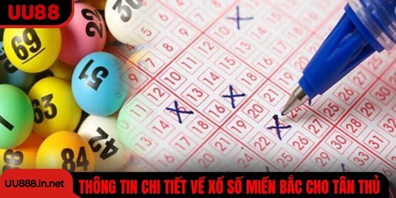 Thông tin chi tiết về xổ số khu vực miền Bắc cho tân thủ